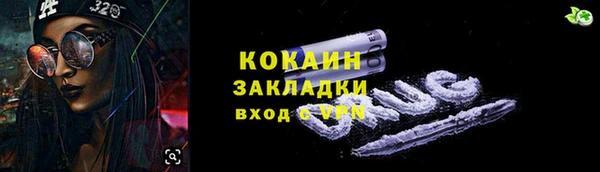 амф Елизово