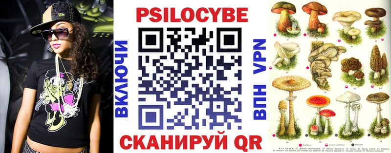 Купить закладки  Кстово  Галлюциногенные грибы Magic Shrooms 
